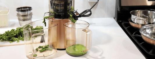 Slow Juicer Myths Malaysians Still Believe (and Why They’re Wrong)